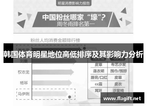 韩国体育明星地位高低排序及其影响力分析